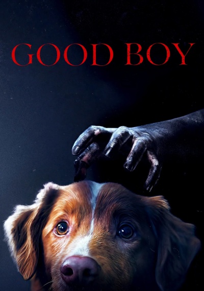 Фильмы онлайн